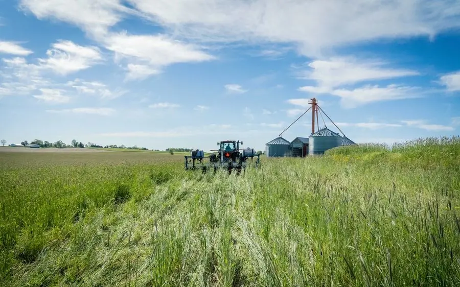 Tractor într-un lan de porumb